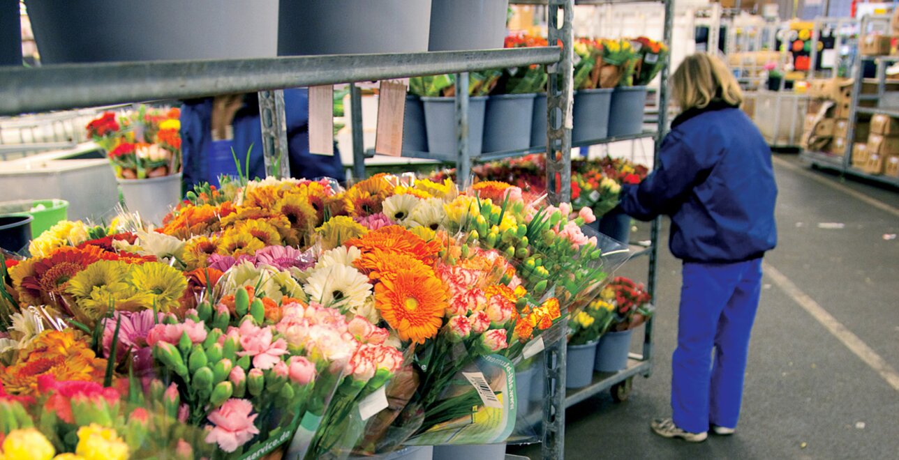 Ongestoorde distributieprocessen, geen zorgen over gebrek aan koeling.